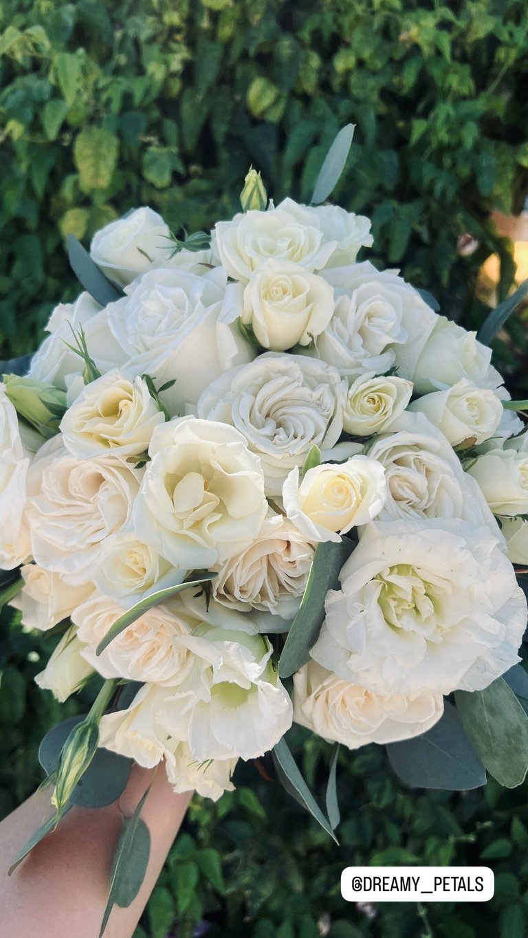 Lush bridal bouquet of cream and blush roses with eucalyptus leaves held in hands against green foliage