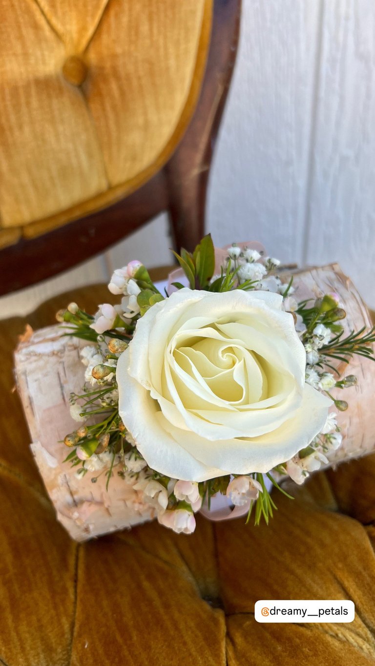 Cream-colored rose corsage with white babys breath and greenery wrapped in blush fabric, resting on a golden chair