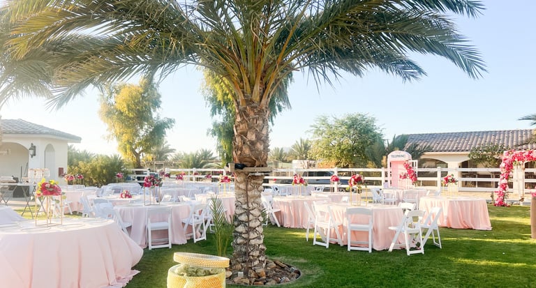 Outdoor wedding venue with pink-draped tables, white chairs, and floral arrangements surrounding a large palm tree on manicured lawn.
