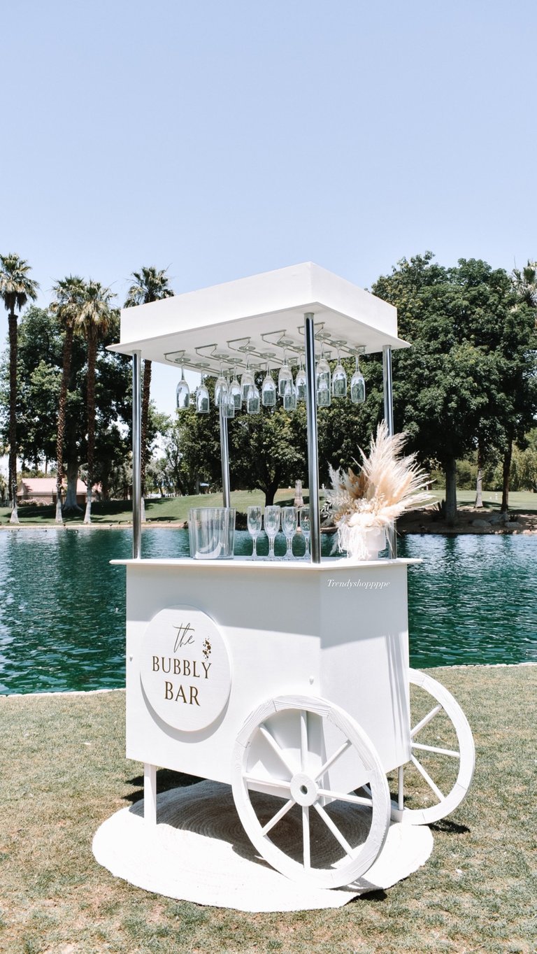 White bubbly bar cart with champagne and floral decorations on a beach near a lake and palm trees